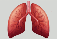 6 bí quyết ‘thổi bay’ độc tố có trong phổi