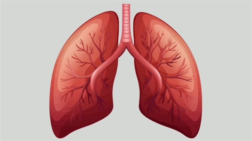 6 bí quyết 'thổi bay' độc tố có trong phổi