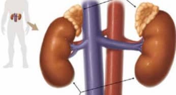 Mổ u tuyến thượng thận: Diễn biến trước, trong và sau khi mổ