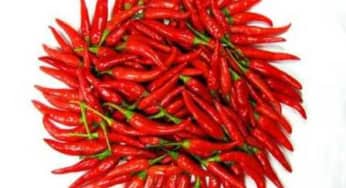 Những thành phần vitamin rất tuyệt vời từ quả ớt