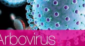 Bệnh do arbovirus và arenavirus gây đau