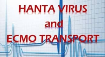 Bệnh sốt xuất huyết do virus Hanta với hội chứng thận, phổi
