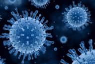 Virus bệnh cúm chớ xem thường