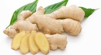 Tác dụng tuyệt vời của gừng đối với sức khỏe và làm đẹp mà bạn chưa biết