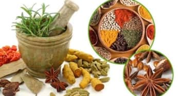 Quản lý chất lượng thuốc đông y