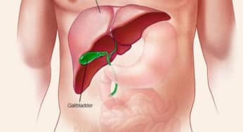 Gan làm chức năng gì trong cơ thể
