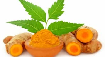 Uống nghệ sai cách vì không hiểu thành phần trong nghệ
