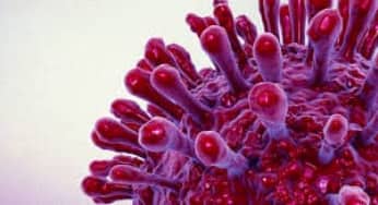 Vaccin điều trị bệnh HIV đã thử nghiệm an toàn trên động vật.