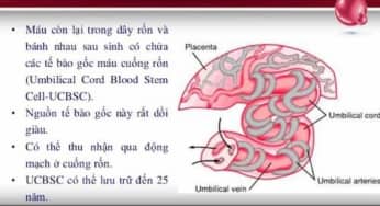 Danh sách các ngân hàng uy tín lưu trữ tế bào gốc từ máu cuống rốn