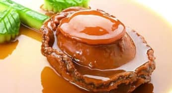 Những bài thuốc chữa bệnh từ bào ngư, cách sơ chế