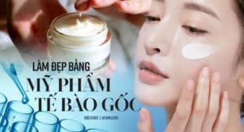 Tế bào gốc sử dụng trong thẩm mỹ có thật sự hiệu quả như quảng cáo?