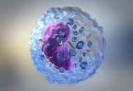 Ý nghĩa xét nghiệm tế bào gốc NK, những người không nên làm xét nghiệm