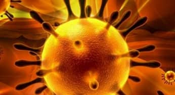 Cách thức truyền bệnh gây dịch của coronavirus, virus Vũ Hán, 2019-nCoV