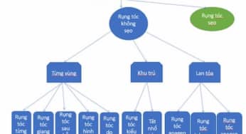Hội chứng rụng tóc anagen ngắn