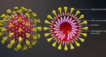Nguồn gốc virus corona đã hé lộ