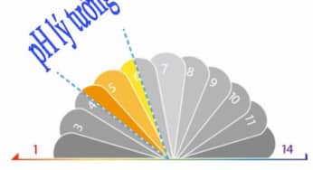 Tìm hiểu về độ pH trên da, cân bằng pH để bảo vệ da bạn