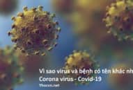 Covid-19: Vì sao virus và bệnh có tên khác nhau?