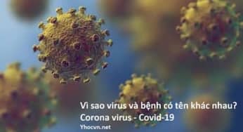Covid-19: Vì sao virus và bệnh có tên khác nhau?