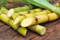 3 thực phẩm giúp dịu cơn ho, dưỡng ẩm phổi nên ăn trong mùa lạnh