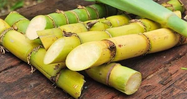 3 thực phẩm giúp dịu cơn ho, dưỡng ẩm phổi nên ăn trong mùa lạnh