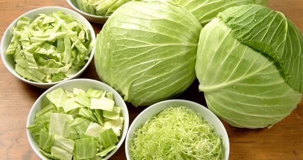 6 loại rau củ giá rẻ hỗ trợ bảo vệ dạ dày dễ tìm tại chợ Việt