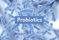 Probiotics lợi khuẩn cực tốt cho đường tiêu hóa