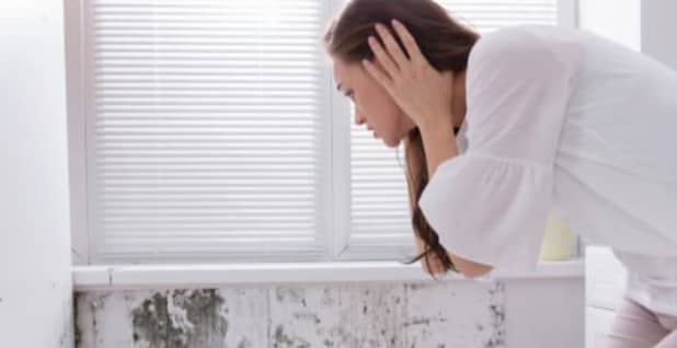 Các triệu chứng về đường ruột có phải do nấm mốc gây ra không?