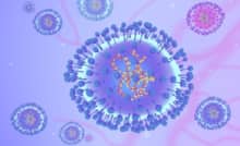 Ai có nguy cơ cao dễ nhiễm virus HMPV