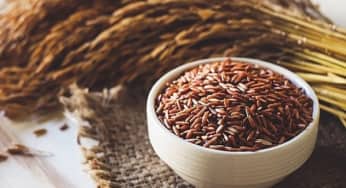 Bật mí cách ăn gạo lứt giảm cân, tránh đầy bụng, khó tiêu