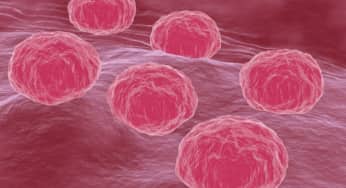 Bệnh Chlamydia gây biến chứng cực nguy hiểm: cách điều trị, phòng ngừa
