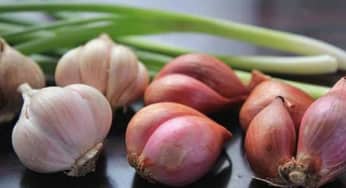 Bộ ba hành tỏi cực tốt cho hệ vi sinh đường ruột
