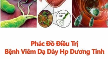 Các bước xây dựng phác đồ điều trị cho bệnh viện