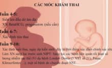 các mốc khám thai các mẹ cần lưu ý