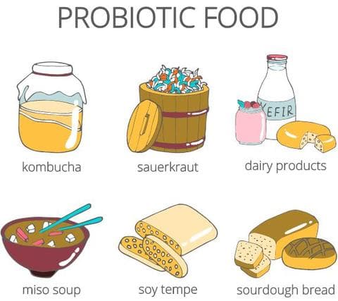 Cách lựa chọn men vi sinh đường tiêu hóa, Probiotics tốt nhất