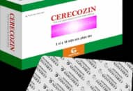Cerecozin: citicolin, thuốc kích thích thần kinh, chữa giảm trí nhớ