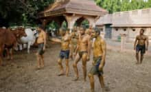 Dân Ấn Độ bôi phân bò lên người chữa Covid-19, bác sĩ cảnh báo không nên tin điều này