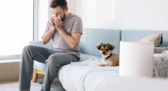 Dị ứng vật nuôi: triệu chứng, nguyên nhân, các biến chứng, phòng ngừa dị ứng