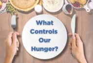 Điều gì kiểm soát cơn đói của chúng ta?
