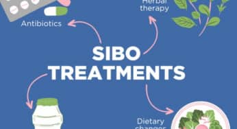 Điều trị SIBO: Những lựa chọn tốt nhất hiện nay