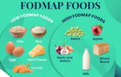 FODMAPs: Kẻ Thù Thầm Lặng Đằng Sau Những Cơn Đau Quặn Thắt Của Hội Chứng Ruột Kích Thích