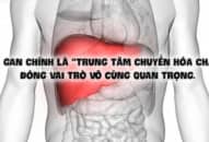 Gan thực hiện những chức năng quan trọng nào