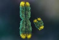 Đột phá khoa học giúp giải mã bí ẩn lớn nhất về nhiễm sắc thể Y ở Nam giới