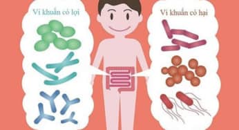 Hệ vi sinh vật đường ruột và bệnh tiêu chảy (phần 1)