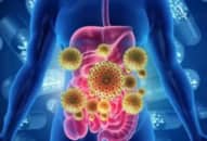Hệ vi sinh đường ruột: vi khuẩn, nấm, virus gây bệnh tiêu chảy (phần 2)