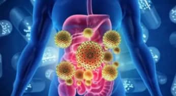 Hệ vi sinh đường ruột: vi khuẩn, nấm, virus gây bệnh tiêu chảy (phần 2)