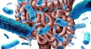 Hội chứng vi khuẩn phát triển quá mức ở ruột non (SIBO): Những điều cần biết
