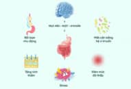 Hội chứng ruột kích thịch (IBS) góc nhìn mới từ trục não ruột