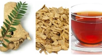 Kỹ thuật ngâm rượu mật nhân đúng chuẩn