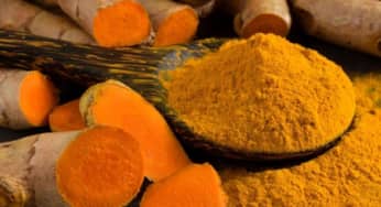 Lạm dụng nghệ gây ảnh hưởng gì cho sức khỏe