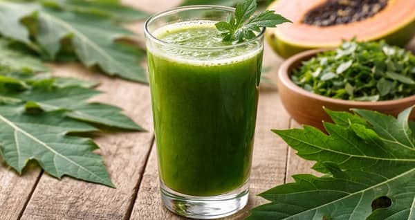 Lạm dụng nước lá đu đủ chữa bệnh nguy hiểm như nào?
